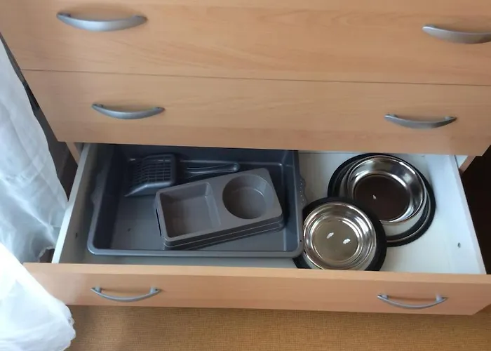 2 Lits Barbotan Les Thermes Appartement